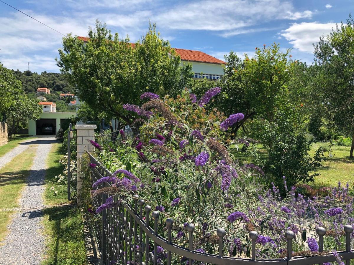 Apartments Muntidor Palit Екстер'єр фото